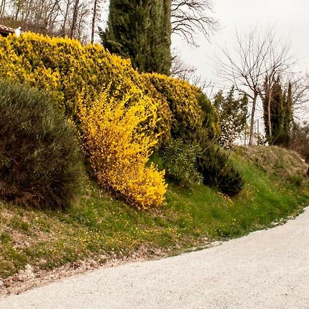 ウルビーノ Calmancino Delle Selve Bed & Breakfast エクステリア 写真