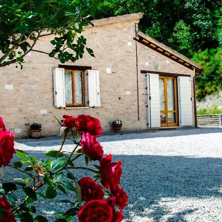 ウルビーノ Calmancino Delle Selve Bed & Breakfast エクステリア 写真