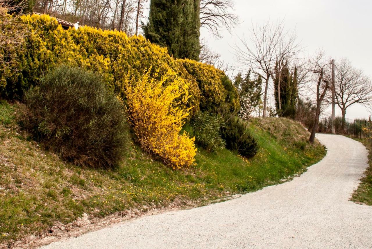 ウルビーノ Calmancino Delle Selve Bed & Breakfast エクステリア 写真