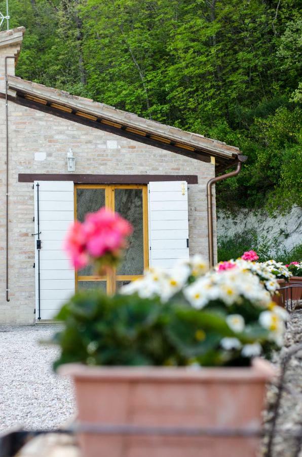 ウルビーノ Calmancino Delle Selve Bed & Breakfast エクステリア 写真