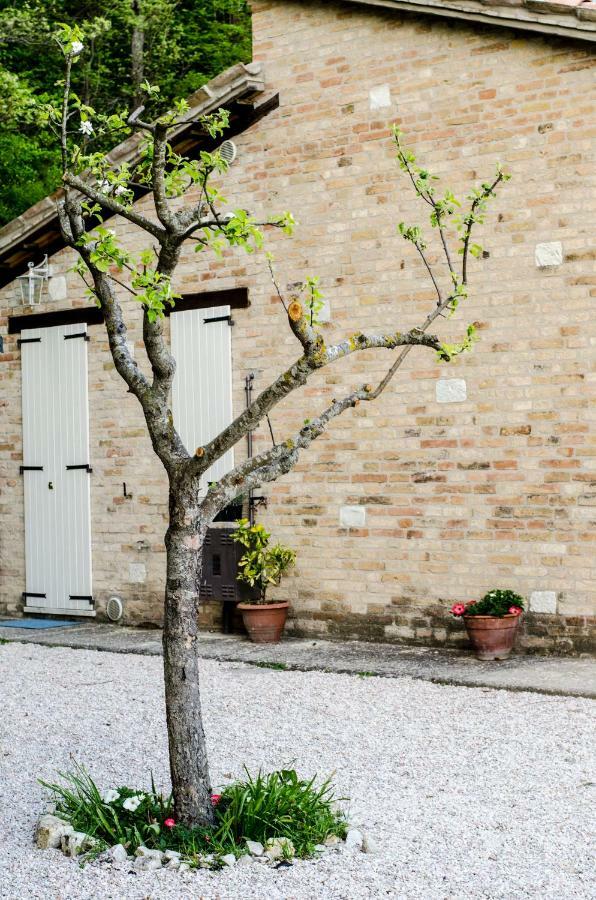 ウルビーノ Calmancino Delle Selve Bed & Breakfast エクステリア 写真