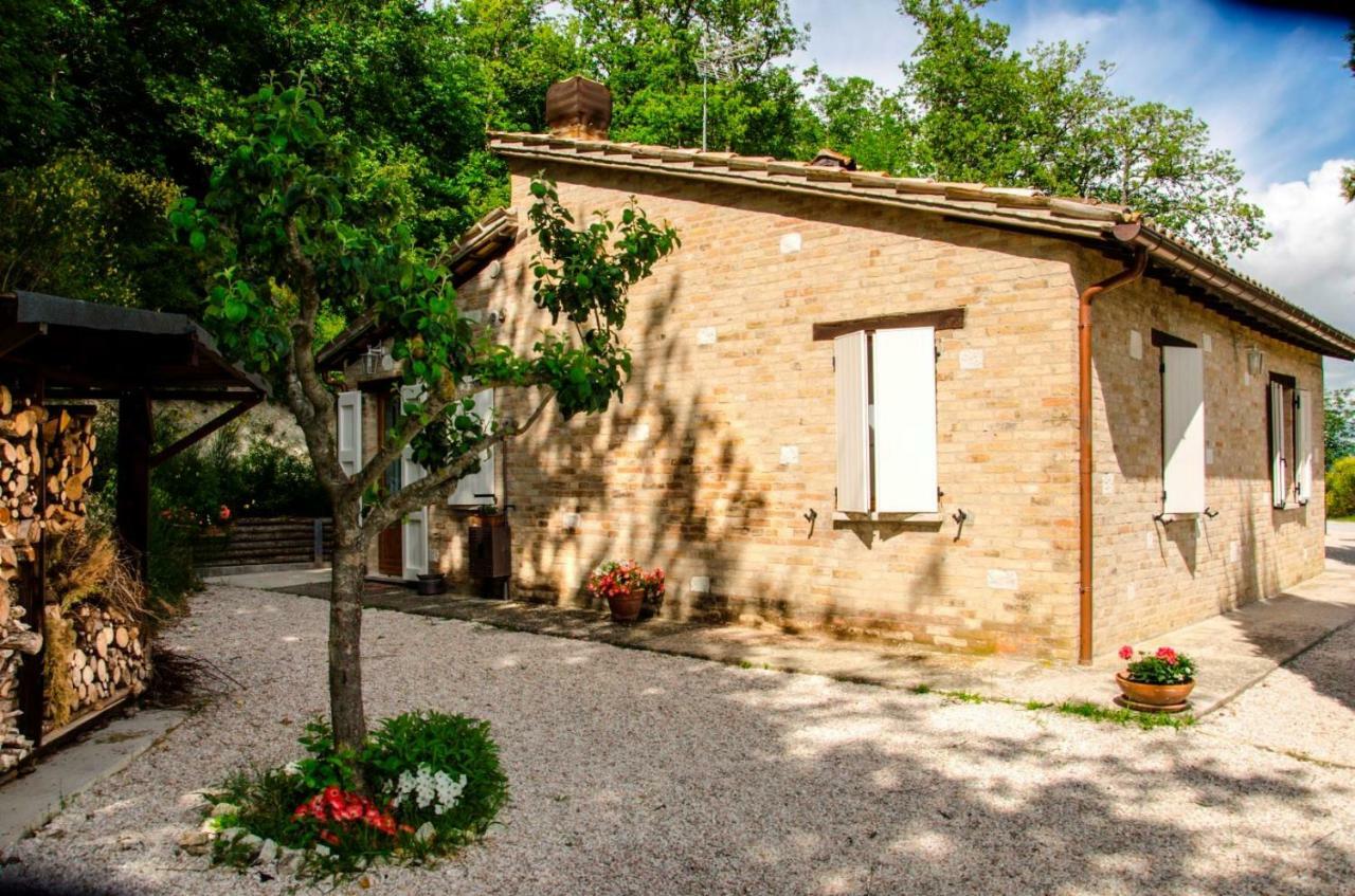 ウルビーノ Calmancino Delle Selve Bed & Breakfast エクステリア 写真
