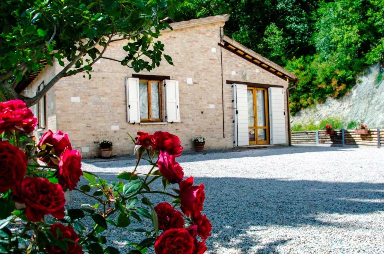 ウルビーノ Calmancino Delle Selve Bed & Breakfast エクステリア 写真