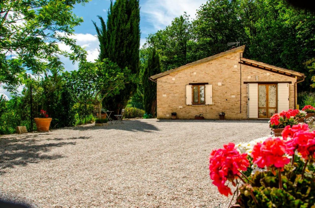 ウルビーノ Calmancino Delle Selve Bed & Breakfast エクステリア 写真