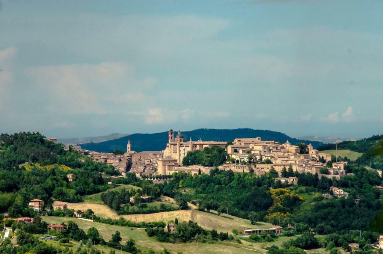 ウルビーノ Calmancino Delle Selve Bed & Breakfast エクステリア 写真
