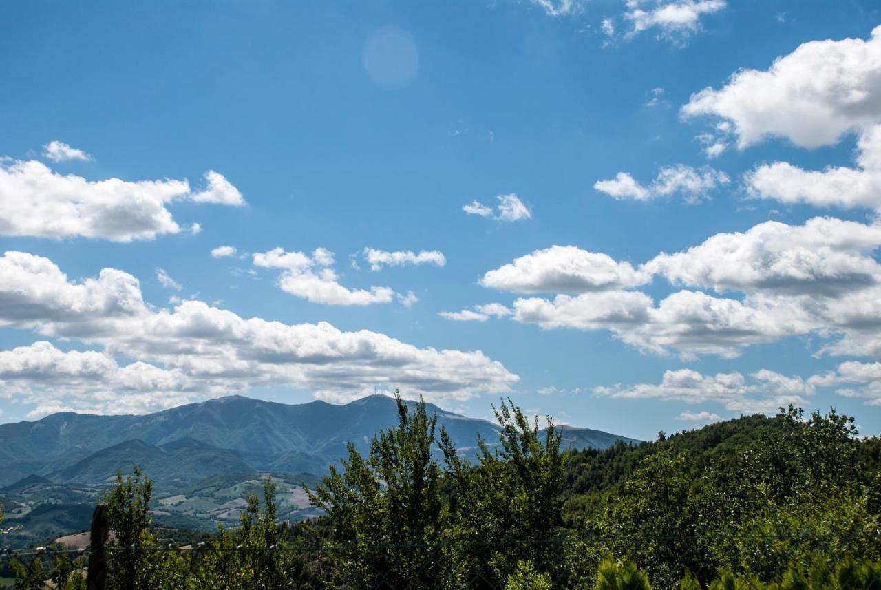 ウルビーノ Calmancino Delle Selve Bed & Breakfast エクステリア 写真