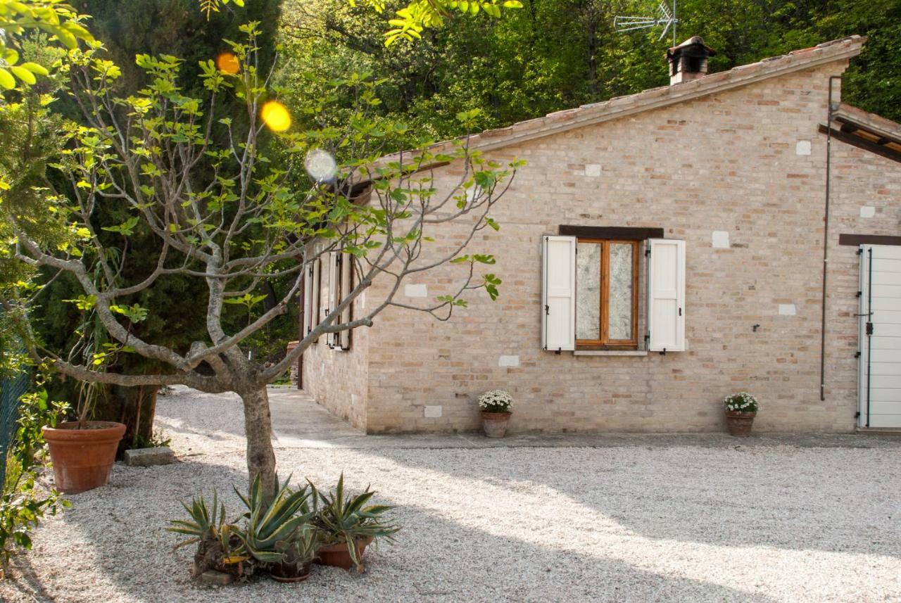 ウルビーノ Calmancino Delle Selve Bed & Breakfast エクステリア 写真